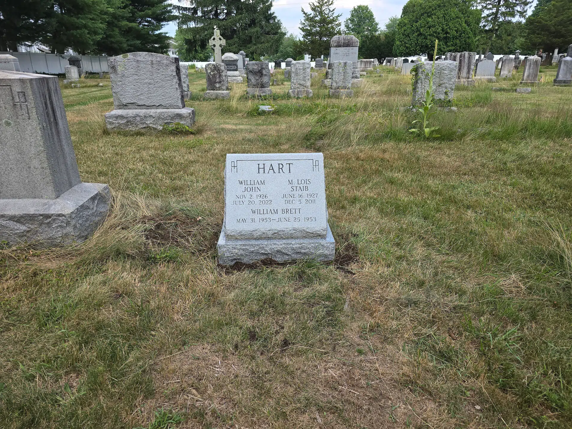 Granite Monument Company hand-carved by New Jersey Monuments in NJ — image 3